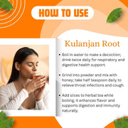 BrijBooti Kulanjan Root 800 Gr - Paan Jadd - Kulinjan - Alpinia Galanga Wild - Siamese Ginger - Thai Ginger