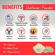 Brijbooti white Shatavari Powder 100 Gram | Shatavari Root Powder for Women | Pcos Relief | Balances Hormones | Asparagus Racemosus | Thaneervittan Kilangu Roots