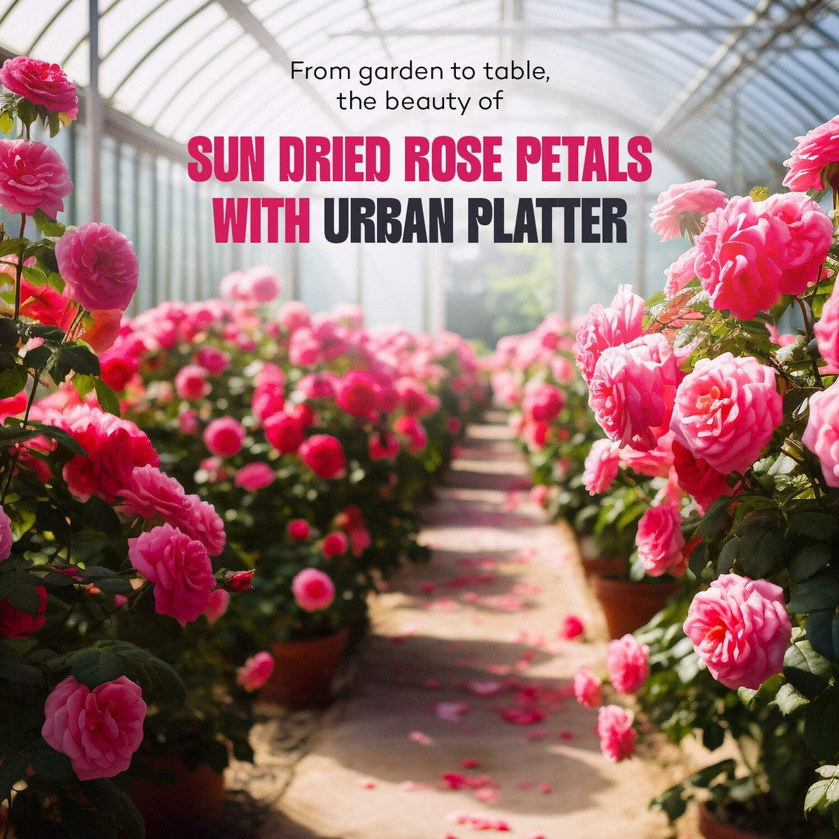 Urban Platter Sun Dried Rose Petals, 100 g