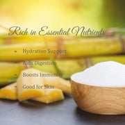 Holy Natural Sugarcane Juice Spray Dried Powder Taste Like Natural - 500 GM