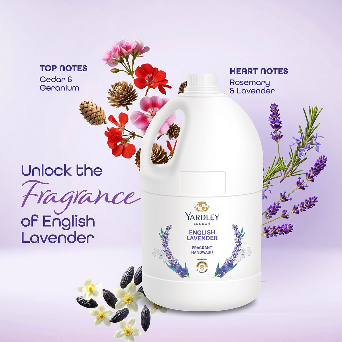 Yardley London English Lavender Fragrant Handwash 5L