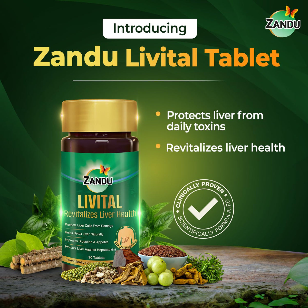 Zandu Livital Liver Detox Tablets – Clinically Proven for Liver Detox & Health Support in 2 Months | 90 Tabs X 2 | 100% Ayurvedic Formula with Bhringaraj & Guduchi | Ayurvedic Alternative to Milk Thistle