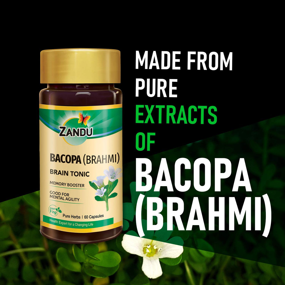 Zandu Bacopa (Brahmi) Capsules: An Age Old Ayurvedic Remedy Made Using Natural Extracts of Brahmi| Helps Improve Focus & Learning- 60 Veg capsules (Pack of 2)