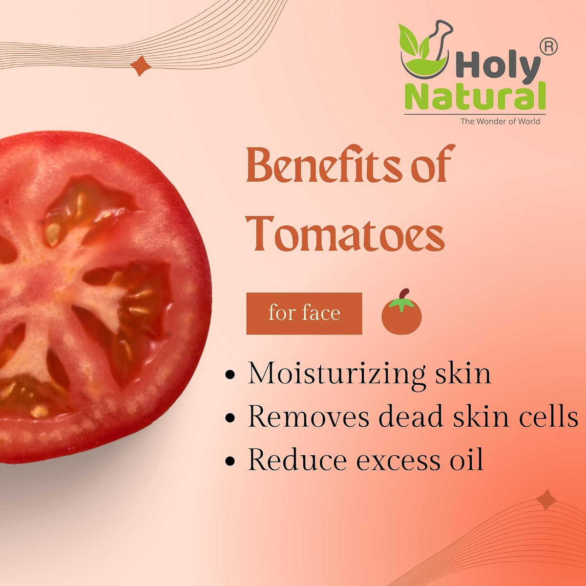 Holy Natural Tomato Powder - 500g | Rich in Vitamin A & C | Spray-Dried | Flavorful for Soups, Juices, Sauces, Ketchup & Seasoning