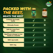 Zandu Livital Liver Detox Tablets – Clinically Proven for Liver Detox & Health Support in 2 Months | 90 Tabs X 2 | 100% Ayurvedic Formula with Bhringaraj & Guduchi | Ayurvedic Alternative to Milk Thistle