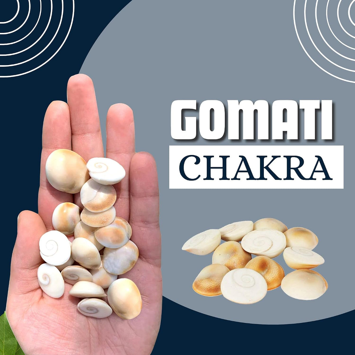 BrijBooti Gomati Chakra 51 Pieces - Stoneware Gomti Chakra - Sudarshan Chakra - Natural Gomti Chakra