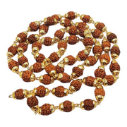 RUDRADIVINE 5 Mukhi Rudraksha Mala, Gold-Plated, 54 Beads, Brown, for Meditation, Yoga, Chanting and Prayer