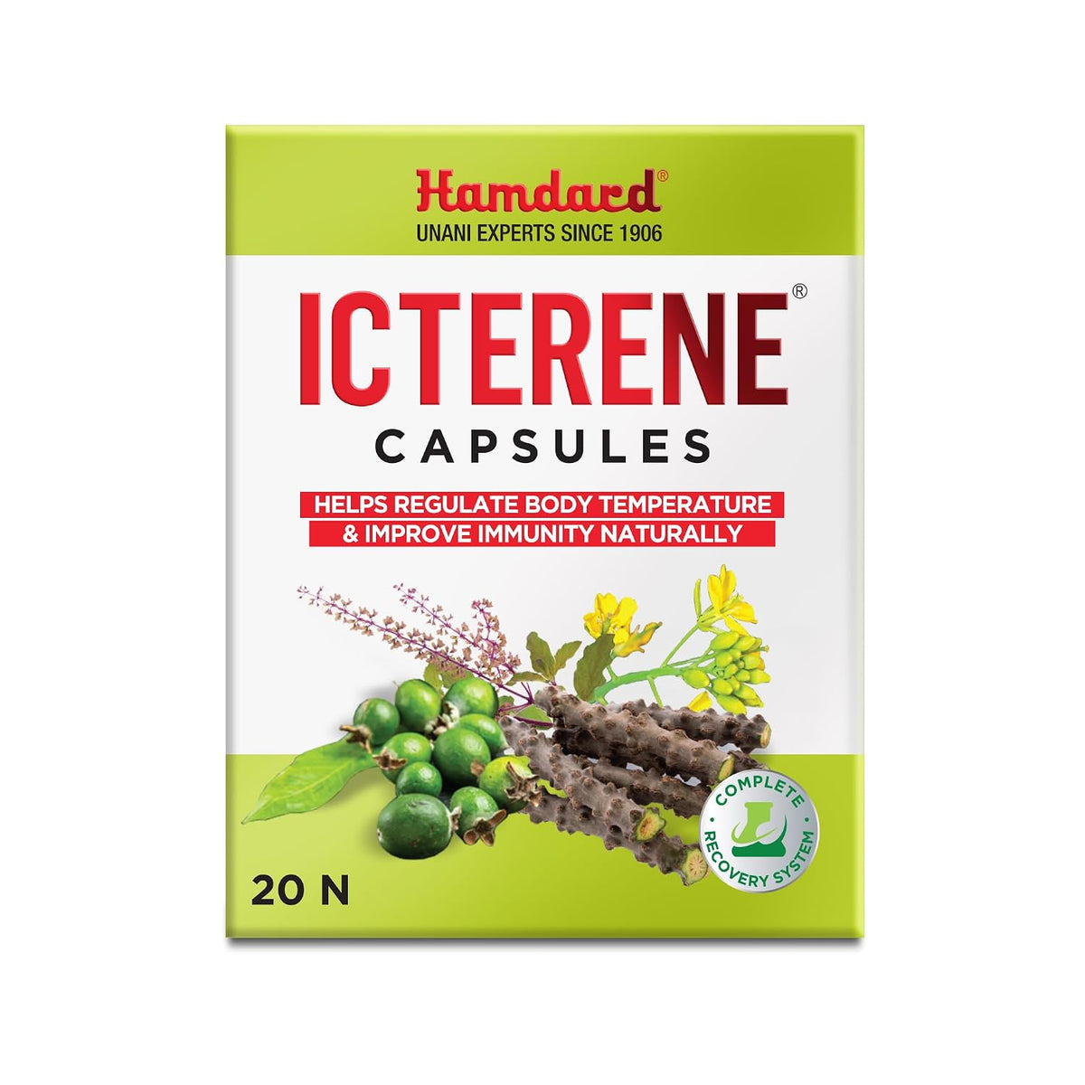 Hamdard Icterene Capsules |Herbal Formula for Immunity | 20 Cap