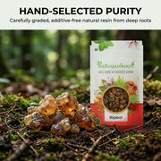 IndianJadiBooti Pure Myrrh Resin (Commiphora Myrrha) | (100g) | Premium Natural Gum for Aromatic Incense, Oral Wellness & DIY Skincare | Hirabol - Bijabol | FSSAI Licensed