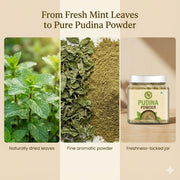 NatureVit Pudina Powder for Cooking 500gm [250g x 2 Jar] | Dried Mint Leaf Powder | Natural Flavor Enhancer | Refreshing & Aromatic | Ideal for Chutneys, Raitas, Masala Mixes