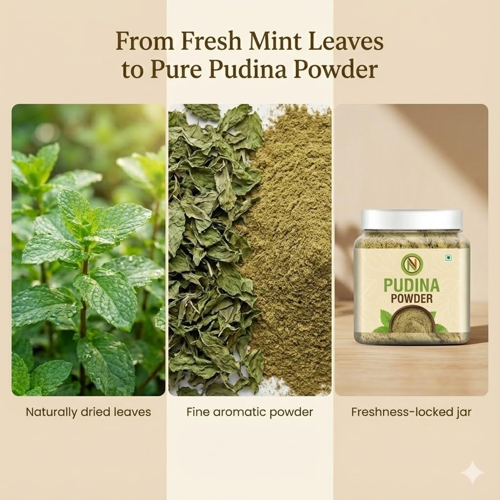 NatureVit Pudina Powder for Cooking 500gm [250g x 2 Jar] | Dried Mint Leaf Powder | Natural Flavor Enhancer | Refreshing & Aromatic | Ideal for Chutneys, Raitas, Masala Mixes