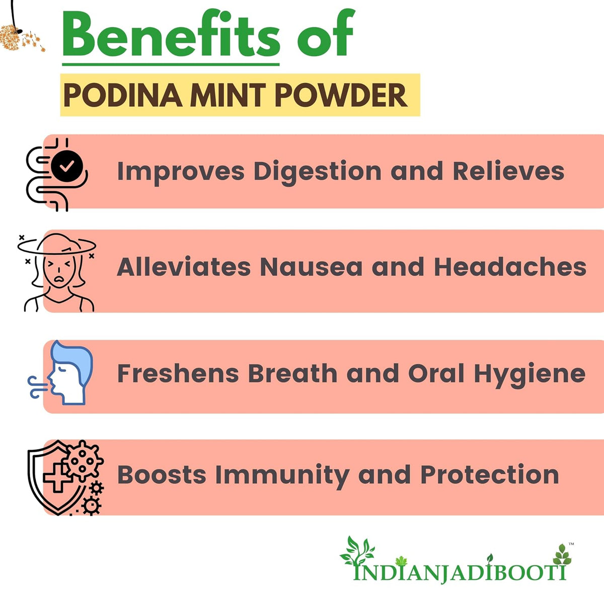 IndianJadiBooti Podina Mint Powder, 900 Grams Pack