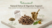IndianJadiBooti Dandelion Roots | Pure Dried Singhparni Jad | Natural Liver Detox Tea Herb | 100% Raw & Unpolished Botanical | Supports Daily Wellness | Premium Veda Pack250 Grams Pack