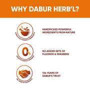 Dabur Herb'l Clove Cavity Protection Toothpaste - 200g | No added Fluoride & Parabens | For Strong & Health Teeth