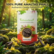 IndianJadiBooti Pure Amaltas Phali (Cassia Fistula) | Traditional Botanical for Gastrointestinal Harmony, Systemic Detox & Pitta Balance | 400g Pack of 2