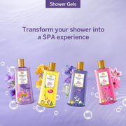 Yardley London| Shower Gel| Floral Essence| With Natural Floral Oils Of Gardenia & Waterlily| No Parabens| No Silicones | 250ml