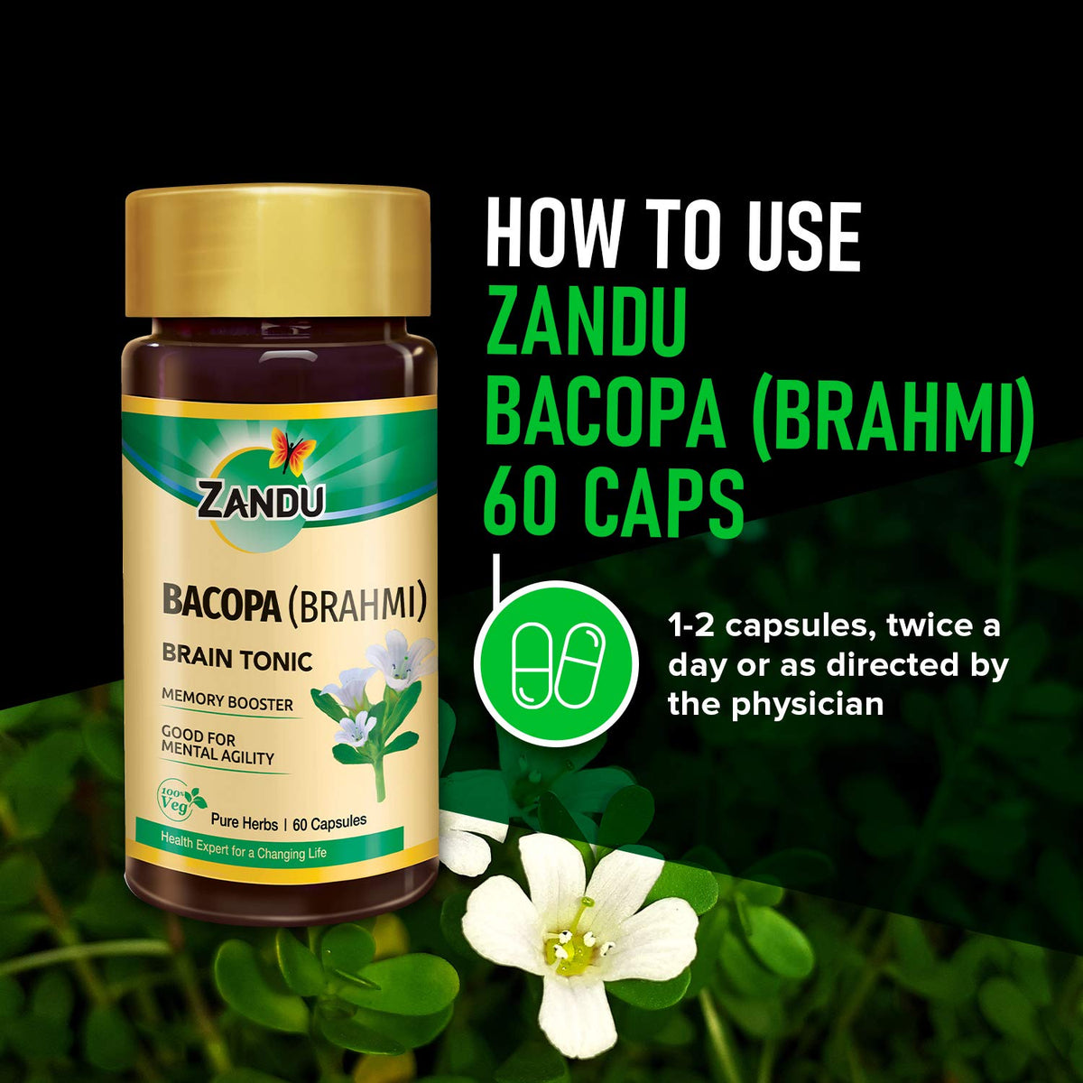 Zandu Bacopa (Brahmi) Capsules: An Age Old Ayurvedic Remedy Made Using Natural Extracts of Brahmi| Helps Improve Focus & Learning- 60 Veg capsules (Pack of 2)