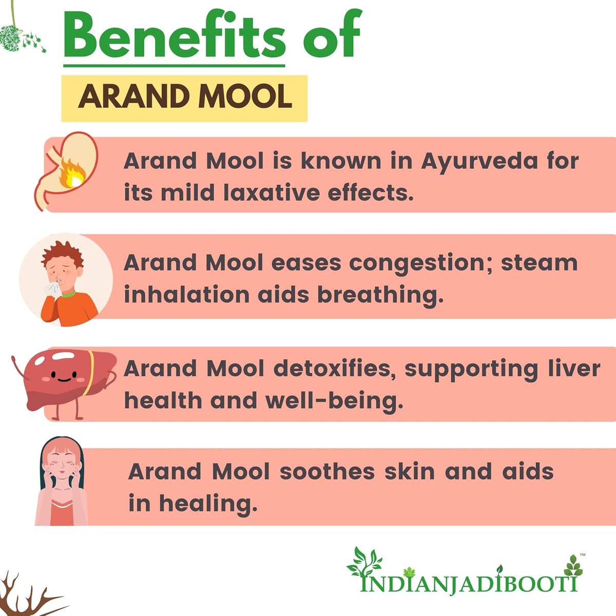 IndianJadiBooti Arand Mool (100g) | Dried Castor Root (Ricinus communis) | Eranda Mool/Arandi Jadd | Ayurvedic Herb for Joint Comfort, Vata Balance & Sciatica Support | Raw & Natural