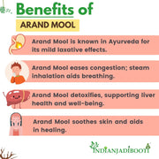 IndianJadiBooti Arand Mool (100g) | Dried Castor Root (Ricinus communis) | Eranda Mool/Arandi Jadd | Ayurvedic Herb for Joint Comfort, Vata Balance & Sciatica Support | Raw & Natural
