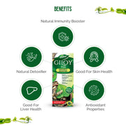 Dabur Giloy Juice - 1L | Ayurvedic Health Juice for Immunity | With Natural Source Of Antioxidants | Detoxifies & Rejuvenates Body | Good For Liver & Skin Health