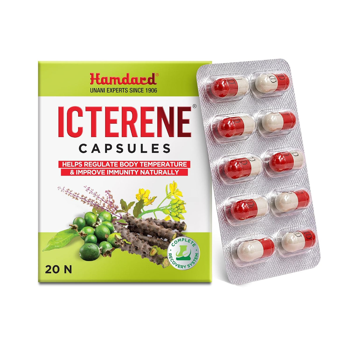 Hamdard Icterene Capsules |Herbal Formula for Immunity | 20 Cap