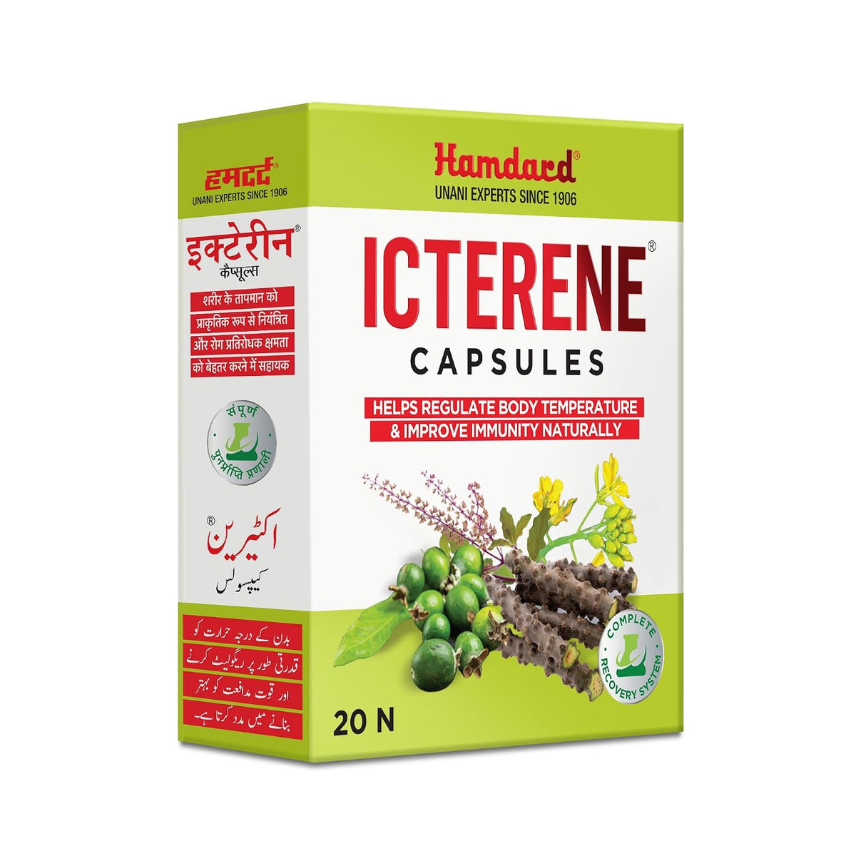 Hamdard Icterene Capsules |Herbal Formula for Immunity | 20 Cap