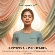 IndianJadiBooti Premium Bhimseni Kapoor – 100% Pure Natural Camphor Crystals for Pooja, Diffuser & Vastu – No Wax, No Residue, Pacha Karpooram for Meditation & Air Purification (100g (The Trial Pack))