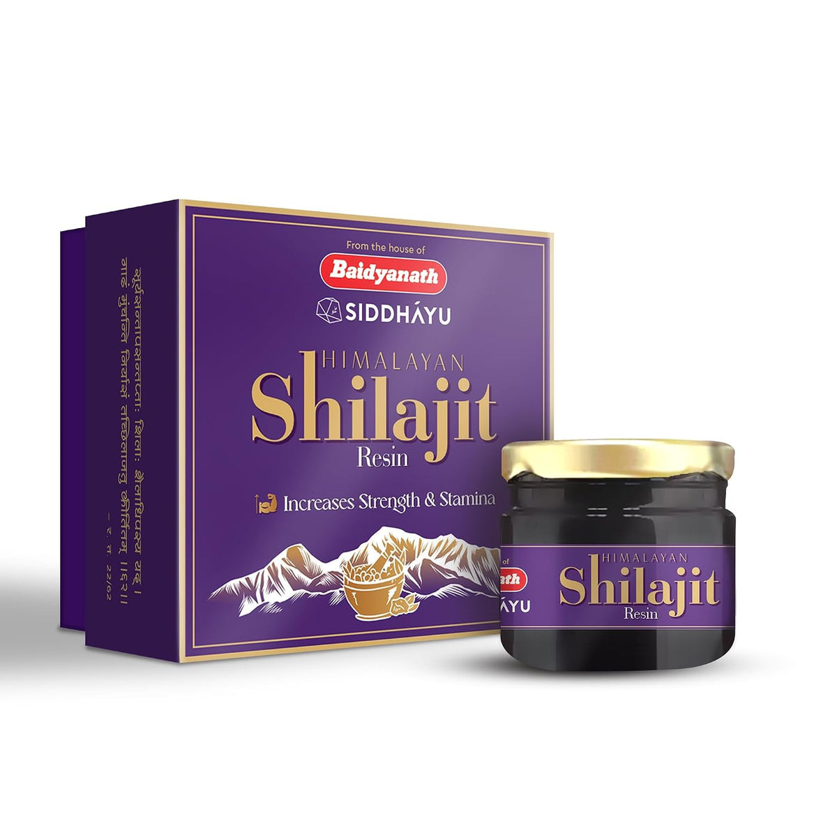 Baidyanath Asli Ayurved Himalayan Shilajit/Shilajeet Resin 20gm - 100% Ayurvedic | Performance Booster For Endurance and Stamina