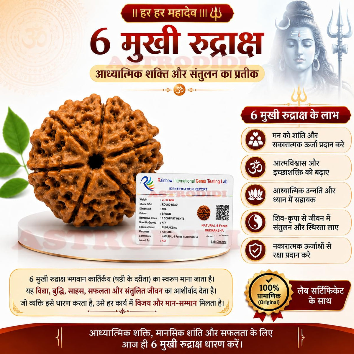 Astrodidi Nepali 6 Mukhi Rudraksha | Certified Original Six Face Rudraksha