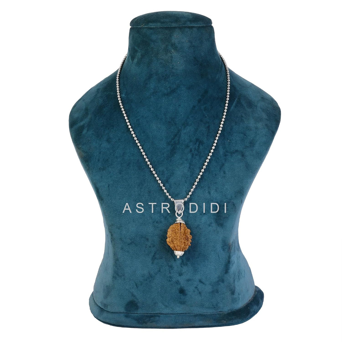 ASTRODIDI 2 Mukhi Rudraksha/Two Face Rudraksh Silver Coated Pendant with Chain for Men and Women | Lab Certified Orginal and Natural Rudraksha