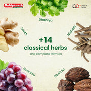 Baidyanath Abhayarist - 450 ml