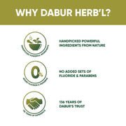 Dabur Herb'l Neem Germ Protection Toothpaste - 600g (200g + 100g x Pack of 2) | Fights Bacteria | No Added Flourides & Parabens | Complete Oral Care