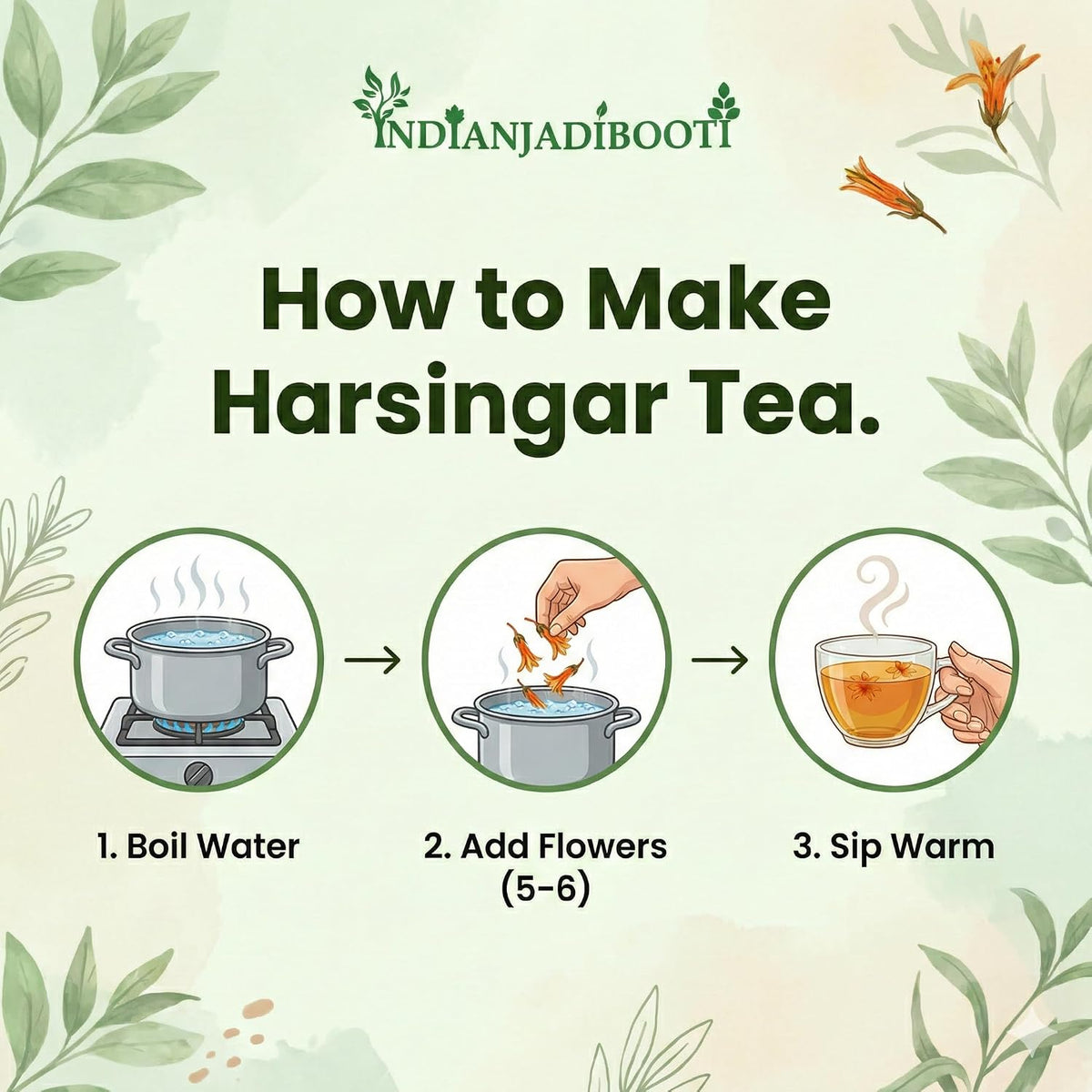 IndianJadiBooti Pure Harshringar Flowers | Joint Mobility Herbal Tea (10g)