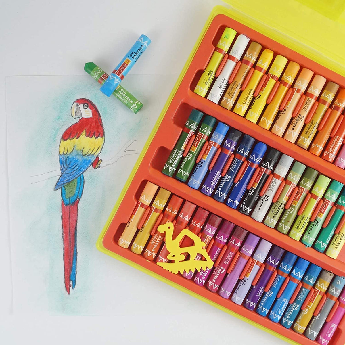 Camel Anu Oil Pastel With Reusable Plastic Box-50 Shades ,Multicolor