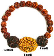 RUDRADIVINE Unisex Brown Rudraksha 2 and 5 Mukhi Face Beads Mala Wrist Band
