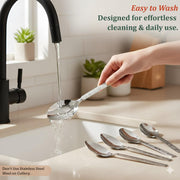 Parage 12 Pieces Stainless Steel Dinner/Table Spoons, Length 15.5 cm, Set of 12, Silver (Delux)