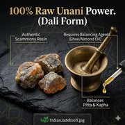 IndianJadiBooti Pure Sakmuniya Dali (Scammony Resin) | Raw Botanical for Deep Colon Cleanse, Occasional Constipation, Sluggish Digestion & Gut Detox | Veda-Grade Unani Herb (10g)