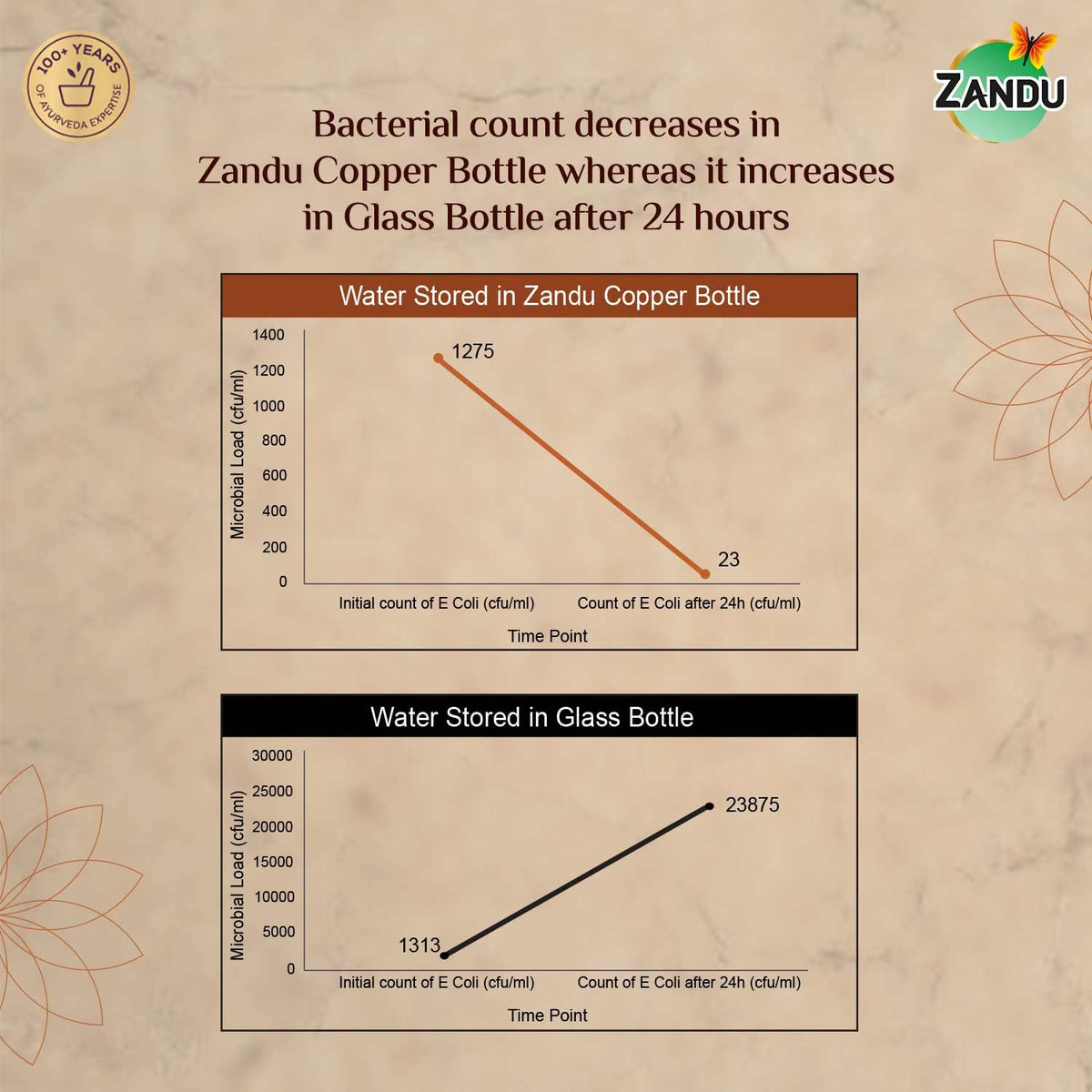 Zandu Copper Bottle (950ml): 100% Pure BPA-Free Water Bottle | Copper-Infused Water | Leak Proof | Office Use | Boosts Immunity | Supports Digestive & Liver Health | Ayurveda Inspired