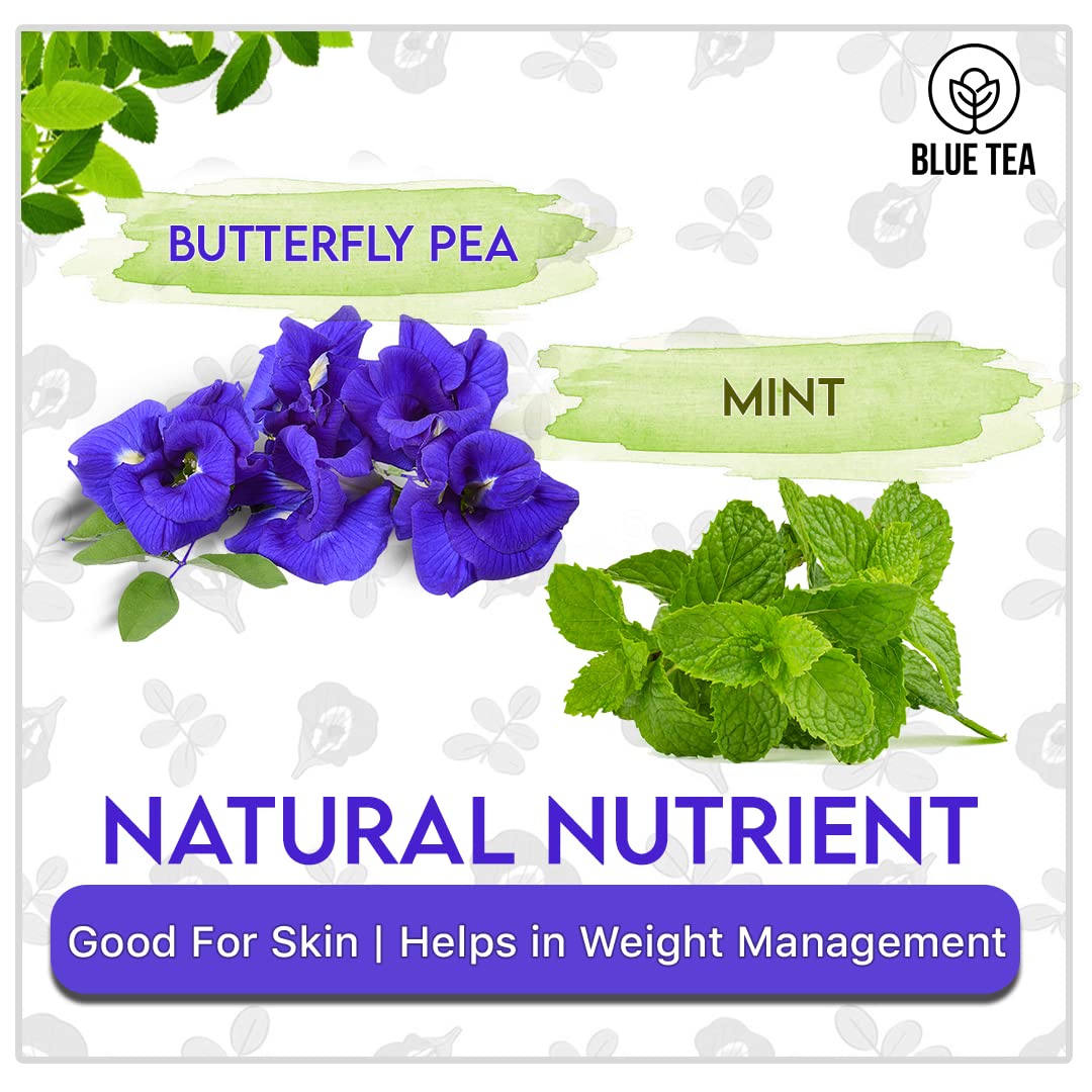BLUE TEA - Butterfly Pea Mint Tea - 30 Tea Bags | REFRESHING BLEND | Aparajita - Shankhpushpi | Antioxidant - Flower Based - Herbal Tea - Caffeine-Free | Tin Pack
