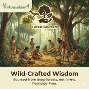 IndianJadiBooti Mahua Flower (Madhuca Longifolia) - Dried Mahwa/Mohwa - Natural Sweetener & Energy Superfood - Sun-Dried & Cleaned