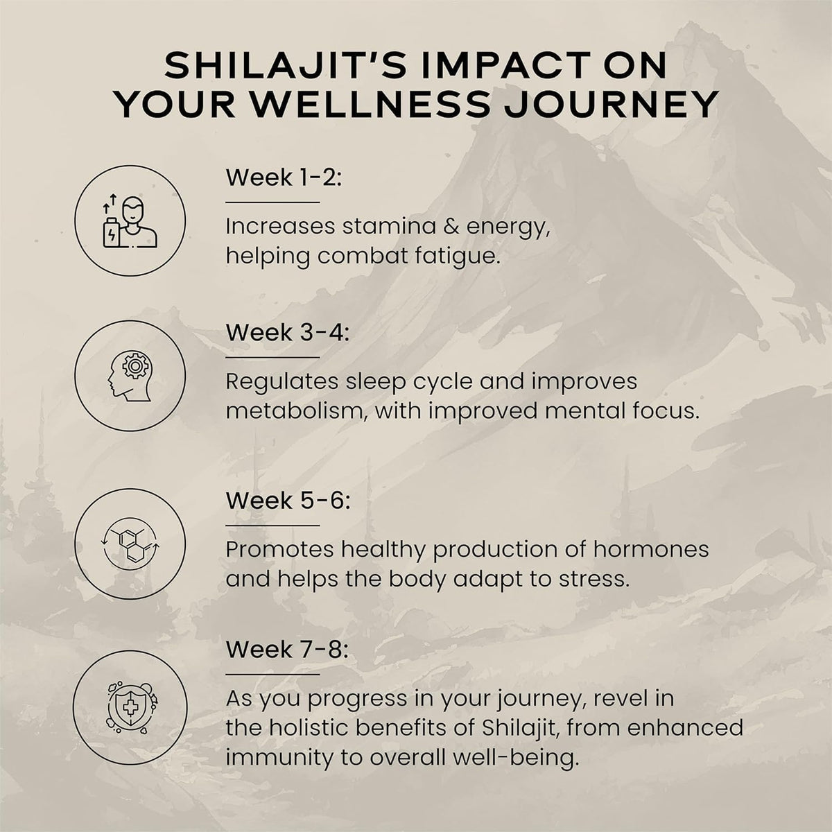 Wellbeing Nutrition Himalayan Shilajit Original Resin 10g for Men & Women | Contains 24K Gold Leaf, Ashwagandha & Safed Museli | 85 Trace Minerals, 100% Ayurvedic | For Energy, Stamina & Performance