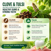Biotique Clove & Tulsi Complete Care Toothpaste - 100% Pure & Natural Ayurvedic Treatment for Gums & Teeth - 140gm (Pack of 2)