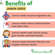 IndianJadiBooti Jamun Guthli Powder | Java Plum Seeds (Syzygium Cumini) | Natural Glycemic Support for Blood Sugar Management | Rich in Jamboline | Traditional Madhumeha Care | 100 Pack of 2