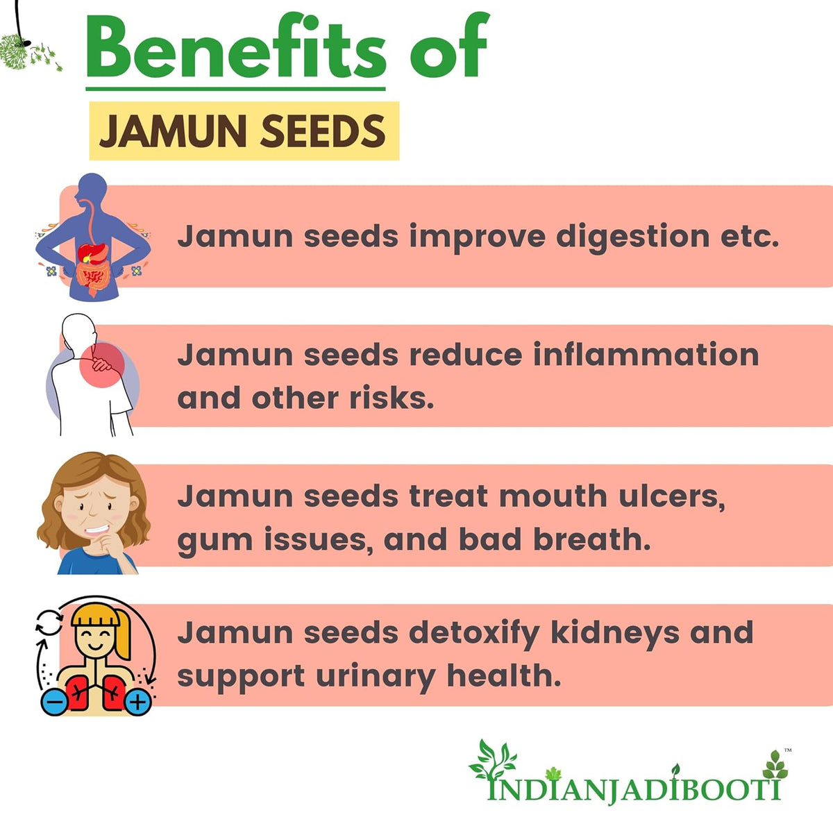 IndianJadiBooti Jamun Guthli Powder | Java Plum Seeds (Syzygium Cumini) | Natural Glycemic Support for Blood Sugar Management | Rich in Jamboline | Traditional Madhumeha Care | 100 Pack of 3
