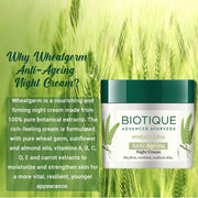 Biotique Wheat Germ Anti- Ageing Night Cream | Reduces Fine Lines | Lightens dark Spots | 100% Botanical Extracts | Suitable for All Skin Types | 50g pack of 2
