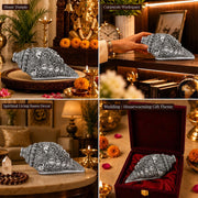 DIVINITI Antique Silver Plated Ganesh Shankh Showpiece with Gift Box|Lord Ganesha Decorative Conch for Home Temple, Pooja Room & Spiritual Decor|Religious Gift for Diwali & Housewarming|12 x 6 cm