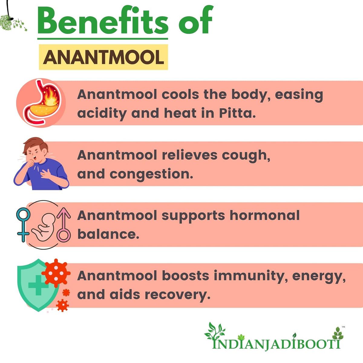 IndianJadiBooti Pure Anantmool Root (Indian Sarsaparilla) | Traditional Ayurvedic Botanical for Systemic Cooling, Skin Vitality & Pitta-Grounding Wellness, 250 Grams Pack
