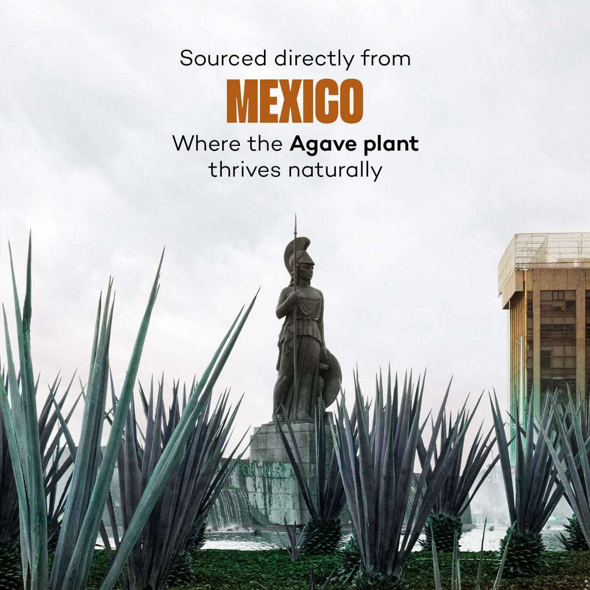 Urban Platter Mexican Blue Agave Syrup,500g (Plant-Based Sweetener, Refined Sugar Alternative, Easy to Mix in Hot & Cold Recipes)
