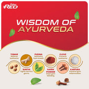 Dabur Red Ayurvedic Paste - 100 g