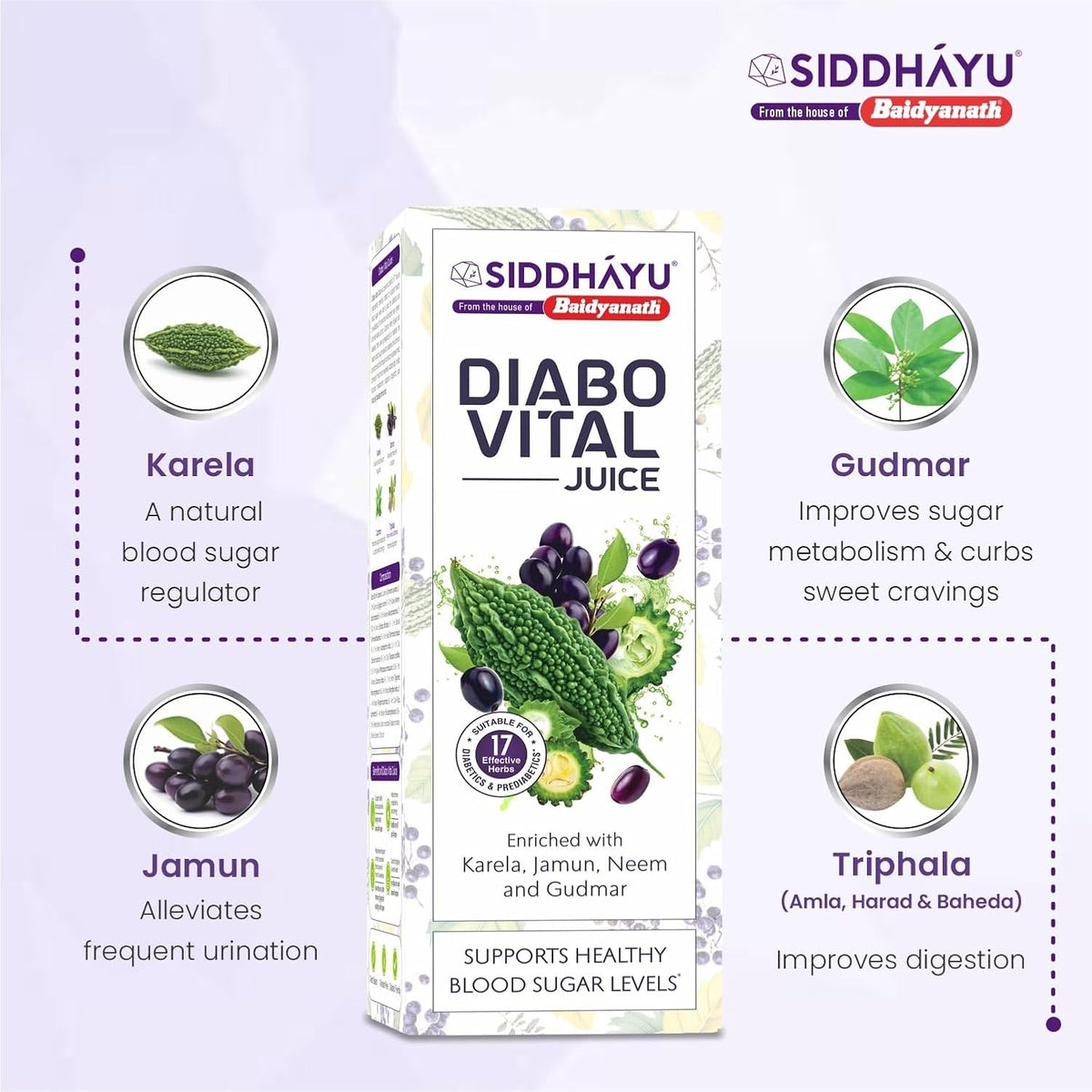 Baidyanath Asli Ayurved Diabo Vital Juice - 1L | Ayurvedic Juice for Diabetic Care With Karela, Jamun, Neem & Gudmar & 17 More
